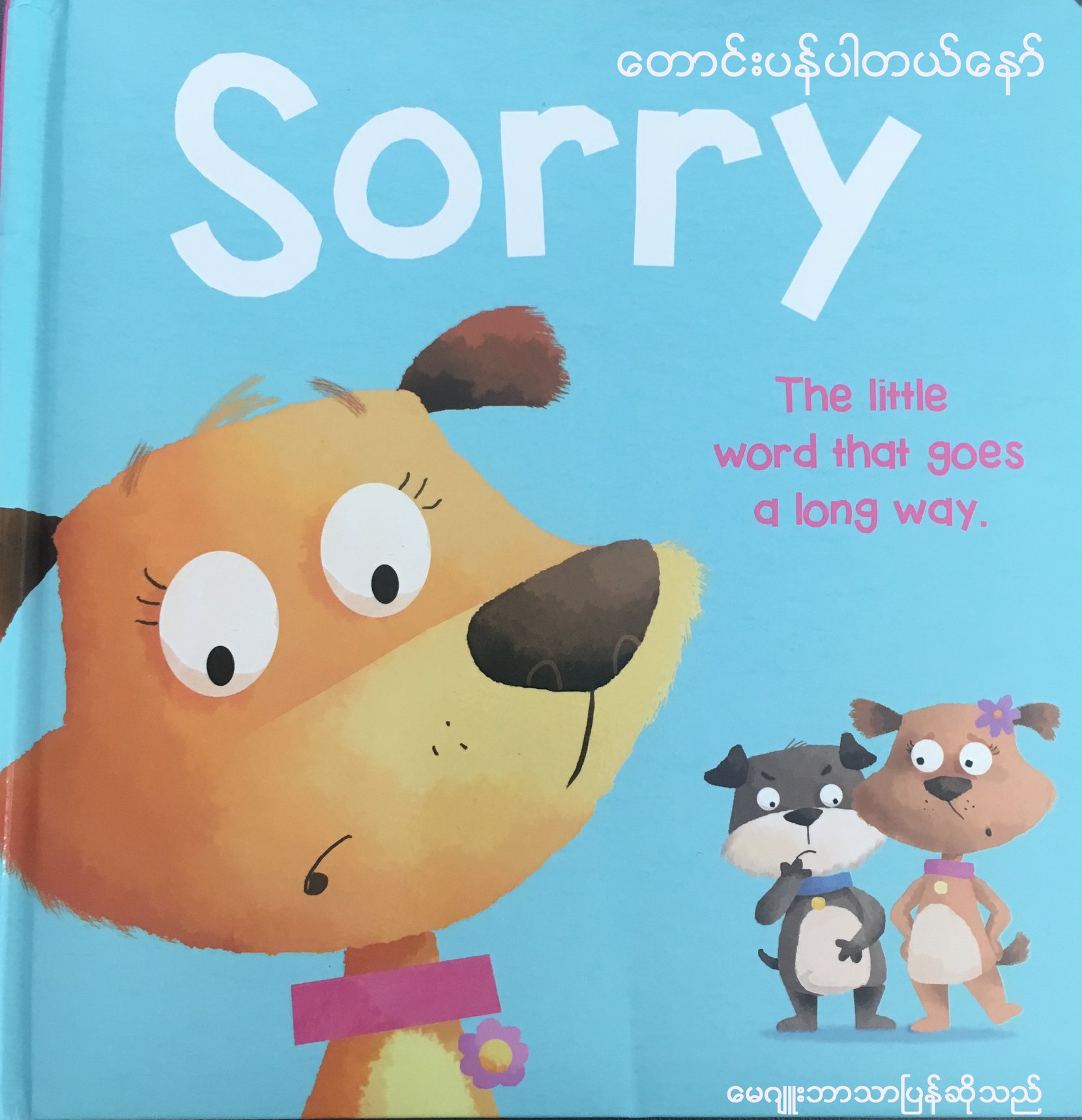 Sorry